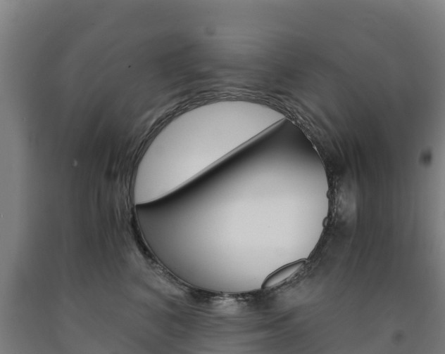 X0000090920616200707301055
