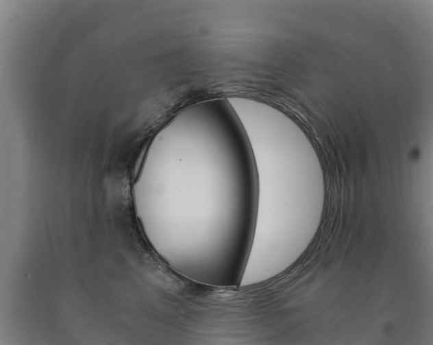 X0000090920617200707301055