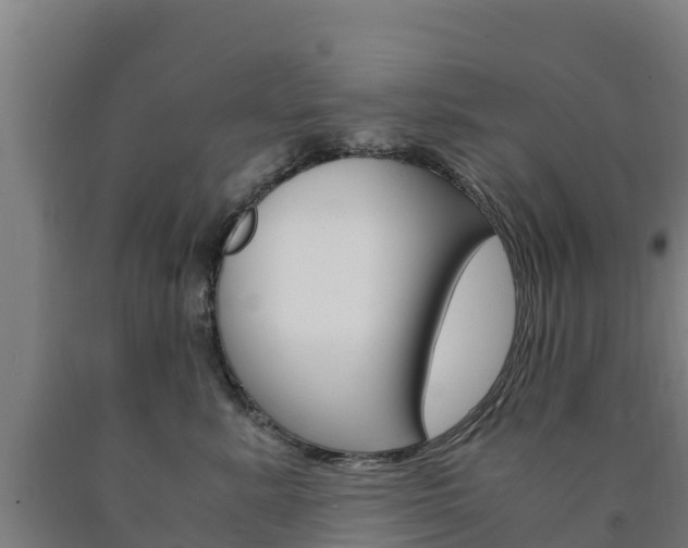 X0000090920619200707301055