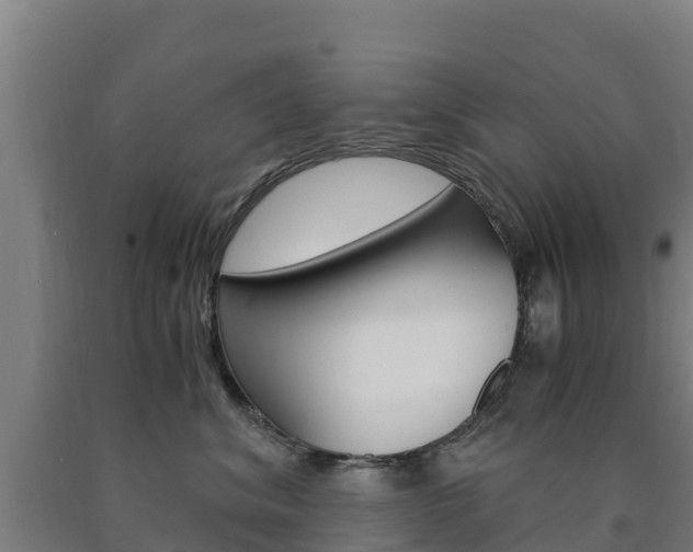 X0000090920620200707301055