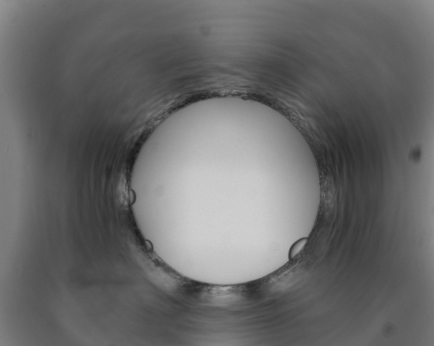 X0000090920622200707301055