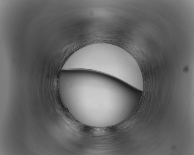 X0000090920623200707301055