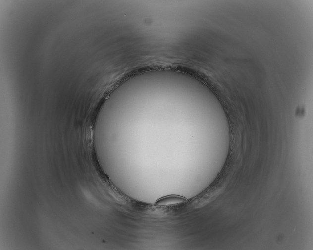 X0000090920624200707301055