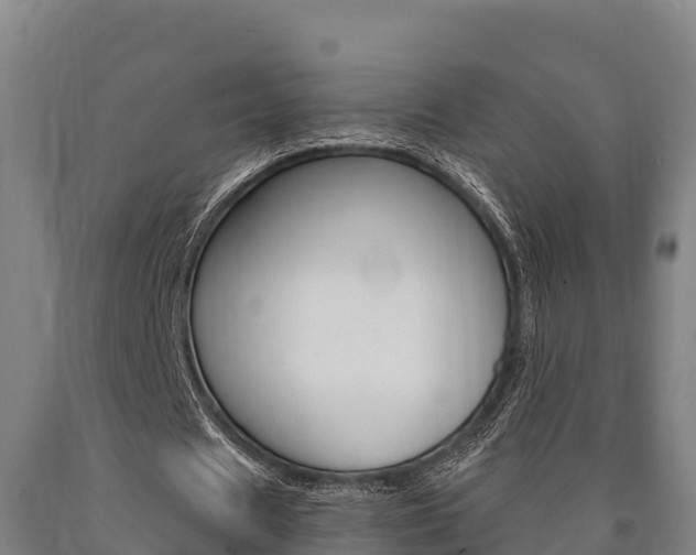 X0000090920625200707301054