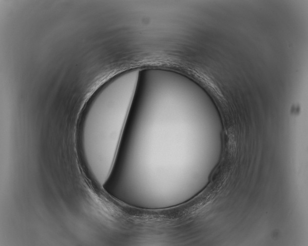 X0000090920626200707301054