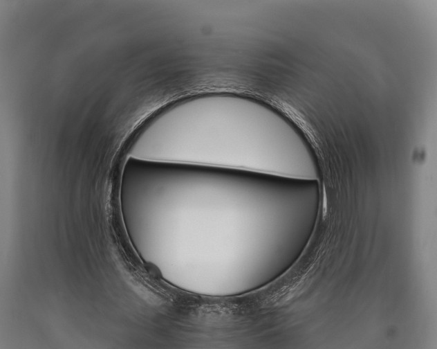 X0000090920627200707301054