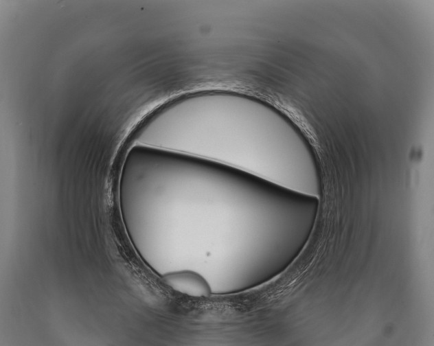 X0000090920628200707301054