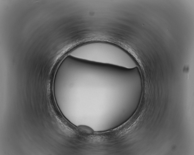 X0000090920629200707301054