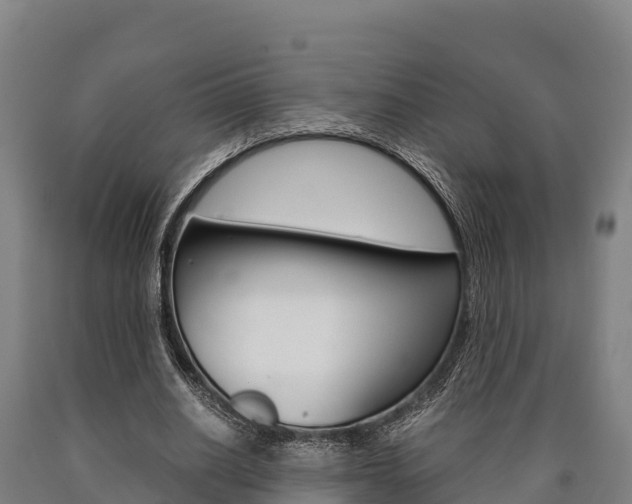 X0000090920630200707301054