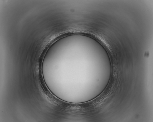 X0000090920631200707301054