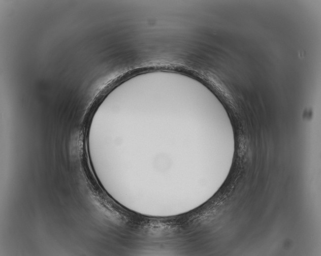 X0000090920632200707301054