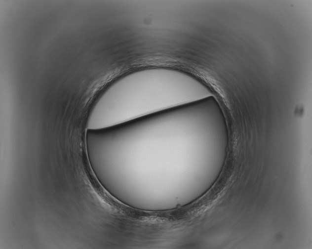 X0000090920633200707301054