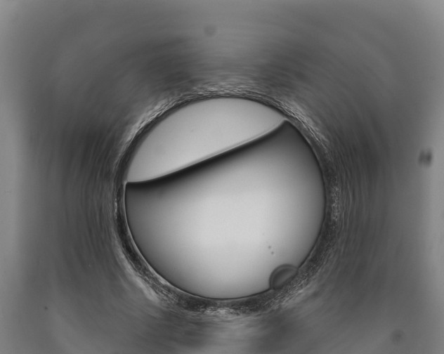 X0000090920634200707301054