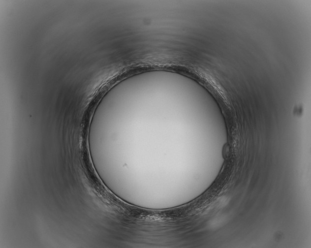 X0000090920635200707301054