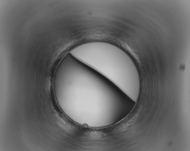 X0000090920637200707301054