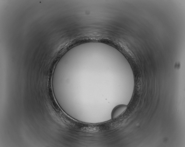 X0000090920639200707301054