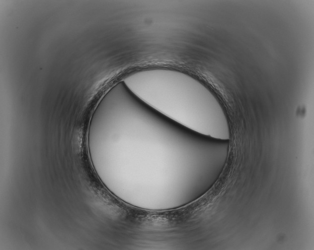 X0000090920640200707301054