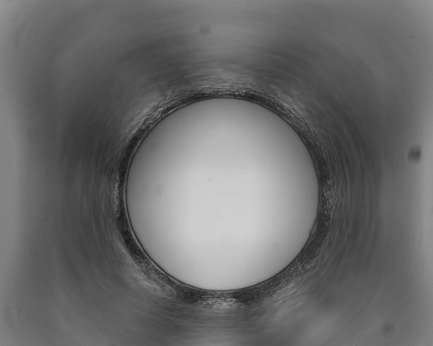 X0000090920642200707301054
