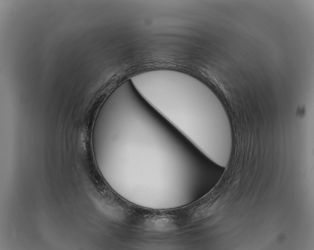 X0000090920643200707301054