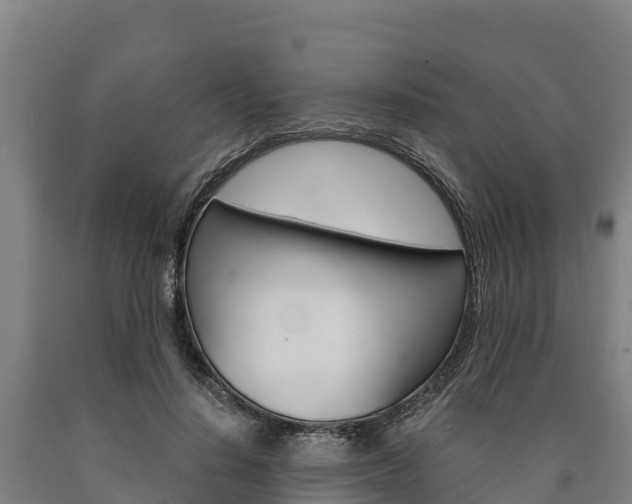 X0000090920644200707301054
