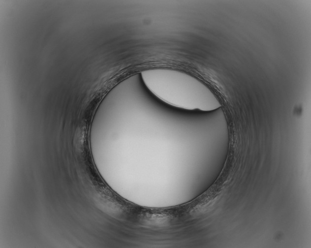 X0000090920645200707301054