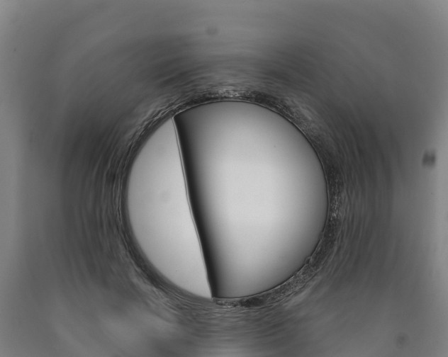 X0000090920646200707301054