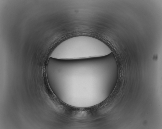 X0000090920647200707301054