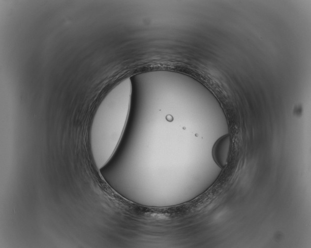 X0000090920649200707301054