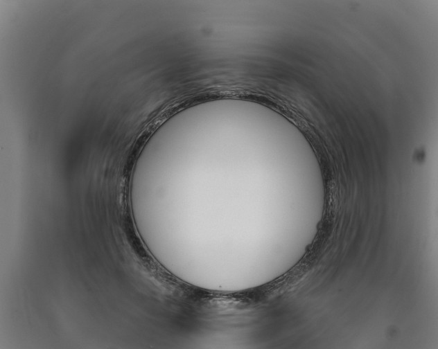 X0000090920650200707301054