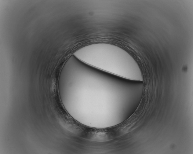 X0000090920651200707301054