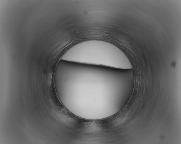 X0000090920652200707301054