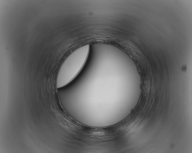 X0000090920653200707301054