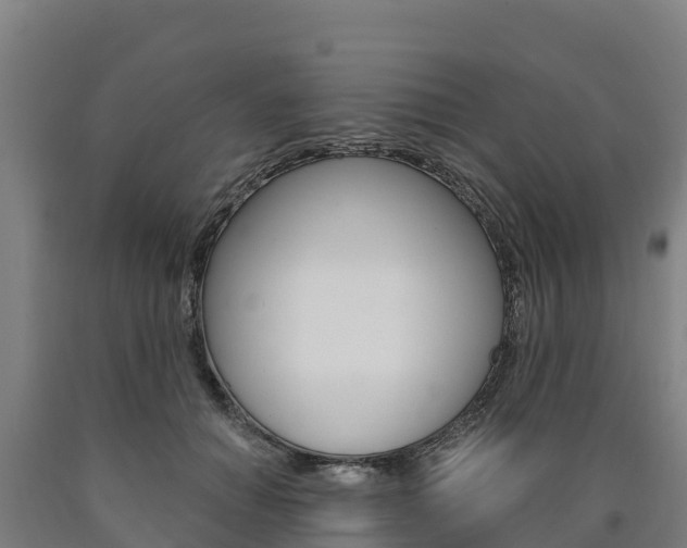 X0000090920654200707301054