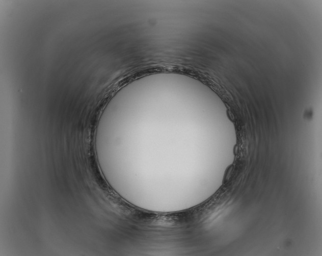 X0000090920656200707301055