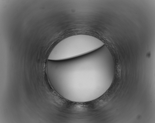 X0000090920657200707301055