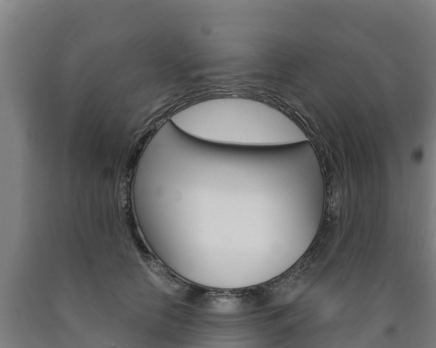 X0000090920658200707301055