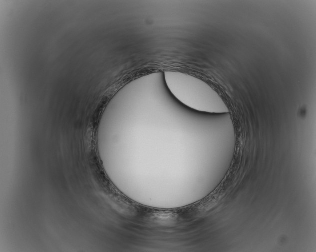 X0000090920659200707301055