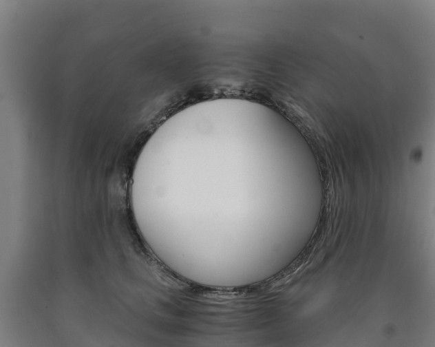 X0000090920661200707301055
