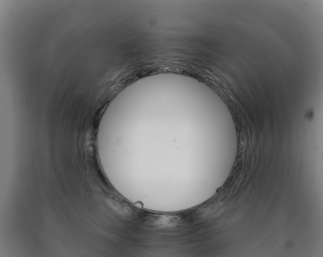 X0000090920663200707301055