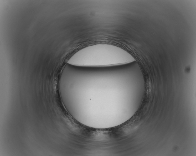 X0000090920664200707301055