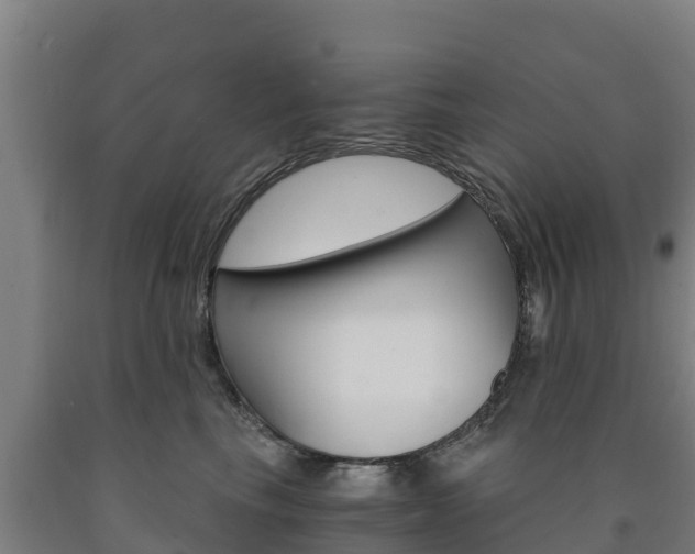 X0000090920665200707301055
