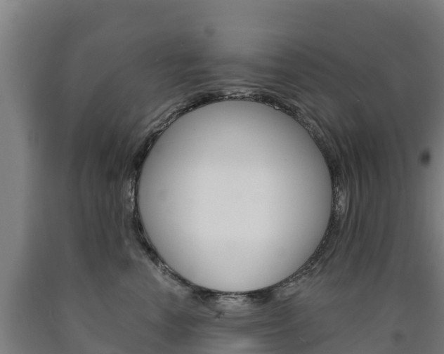 X0000090920666200707301055