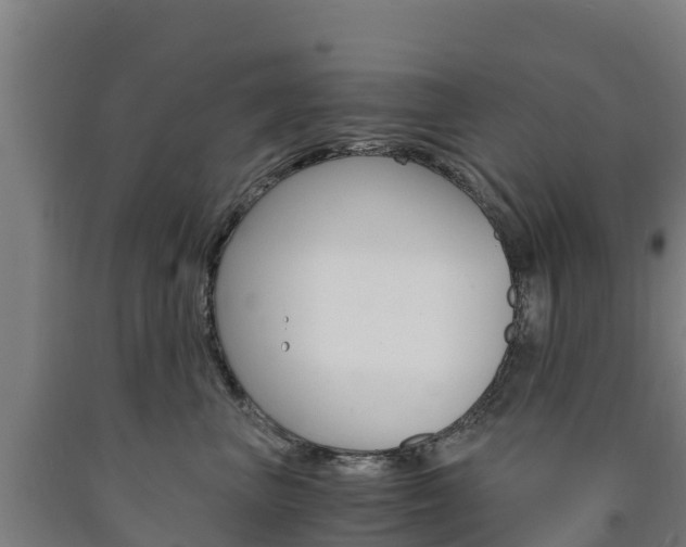 X0000090920667200707301055