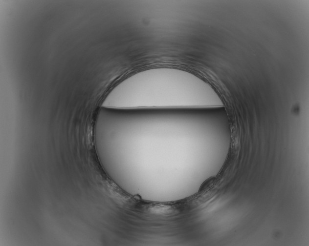 X0000090920669200707301055