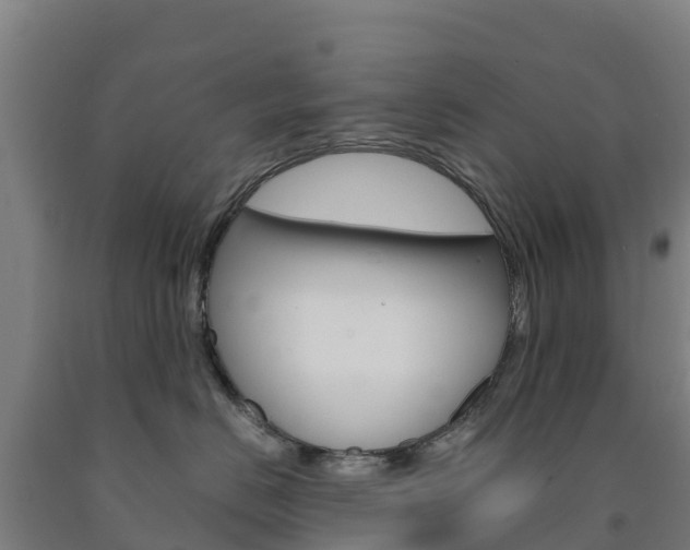X0000090920670200707301055