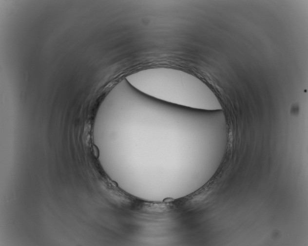 X0000090920671200707301055
