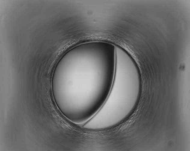 X0000090920673200707301054