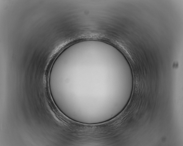 X0000090920674200707301054