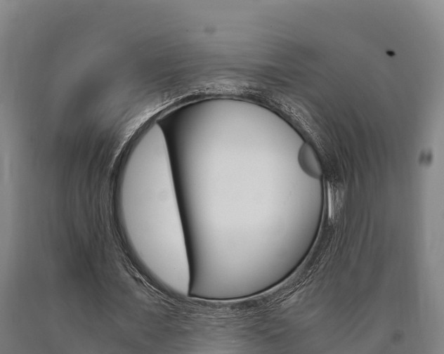 X0000090920675200707301054