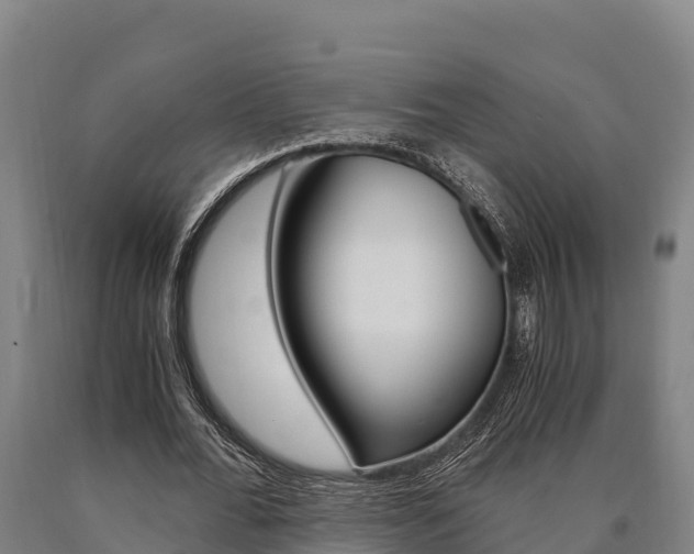 X0000090920676200707301054